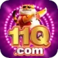 11q Premium Gaming App